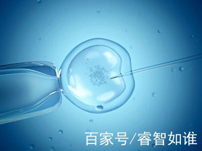 主案例